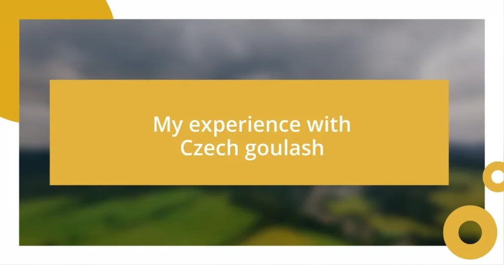 My experience with Czech goulash